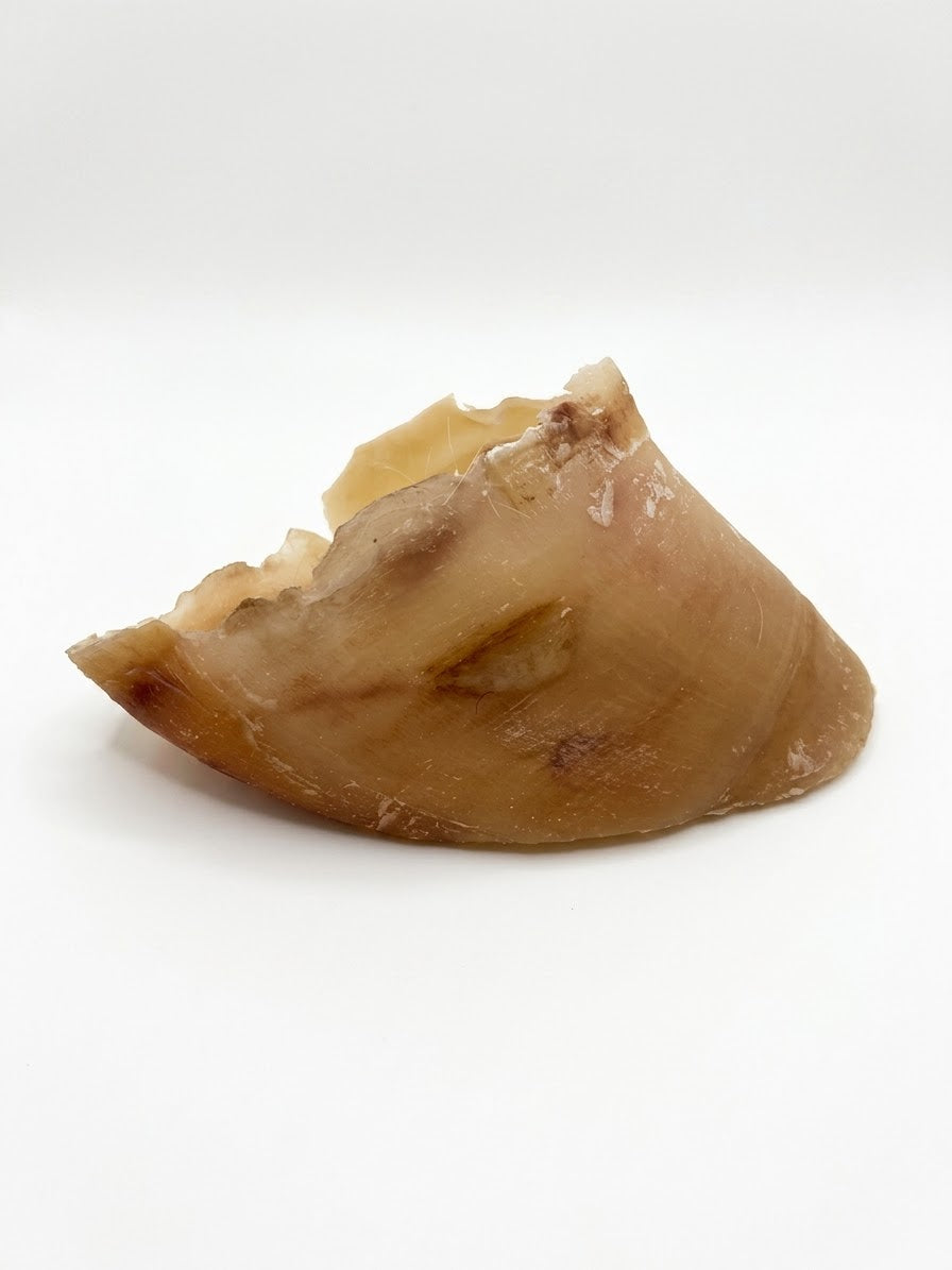 Kalbshuf