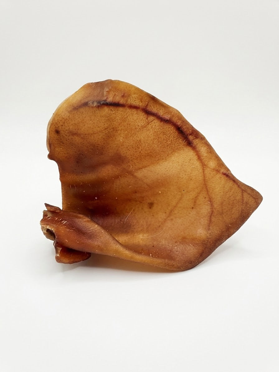 Pig's ear