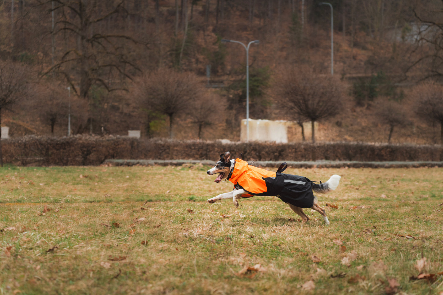 Non-stop dogwear - Fjord Raincoat 2.0