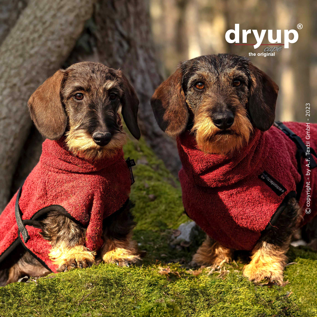 Actionfactory - Dryup Cape Dackel - Hundebademantel