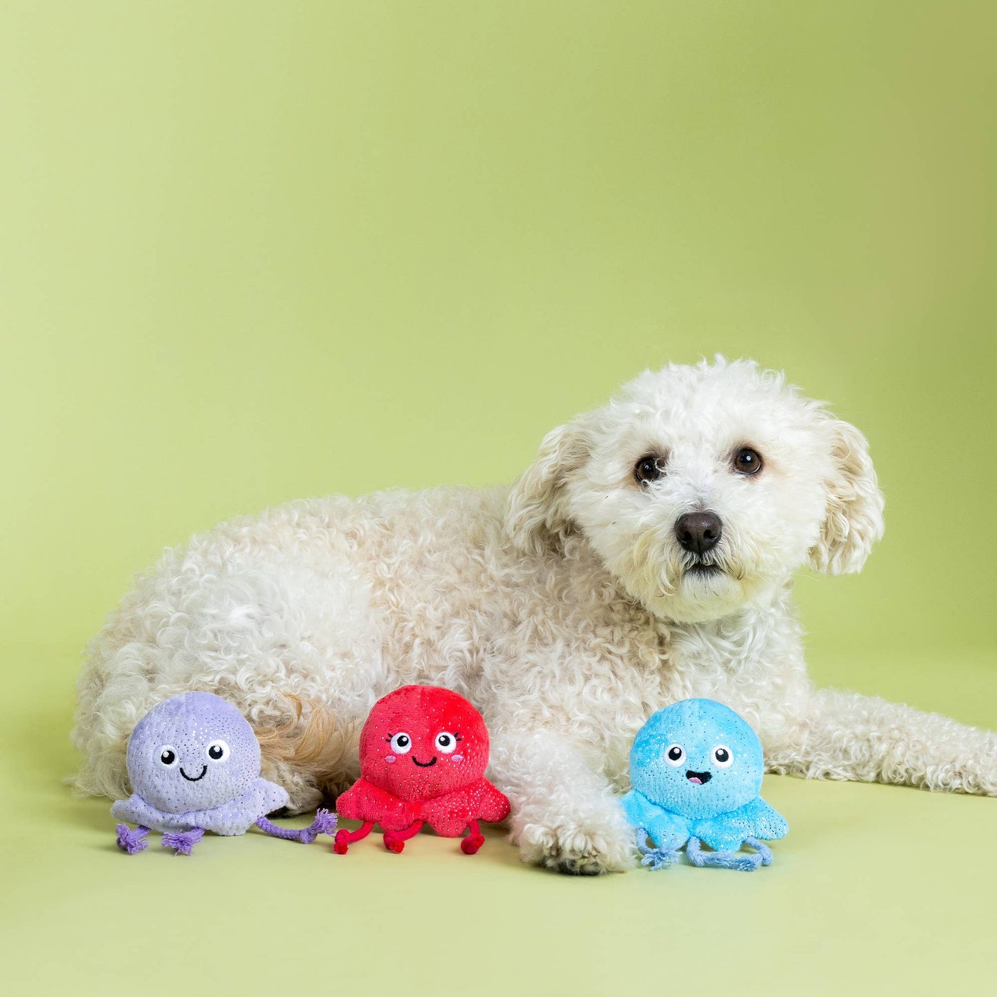 Fringe TOO TENTACOOL 3-TEILIGES KLEINER HUNDESPIELZEUG-SET