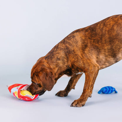 Fringe - Sweet Surprise - Hundespielzeug-Set