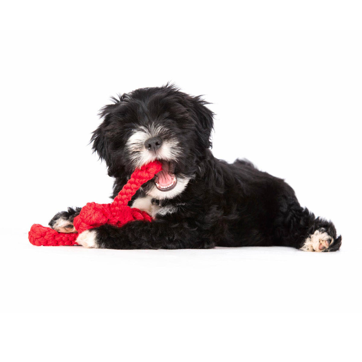 LABONI Cotton Toy - HUGO LOBSTER (large)