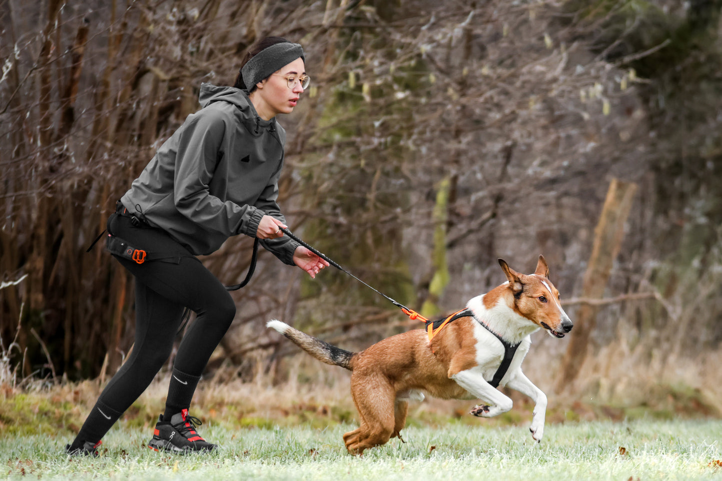 Non-stop dogwear - Rush harness