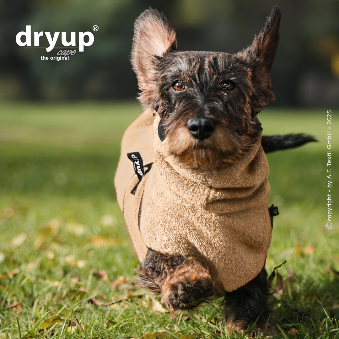 Actionfactory - Dryup Cape Dackel - Hundebademantel