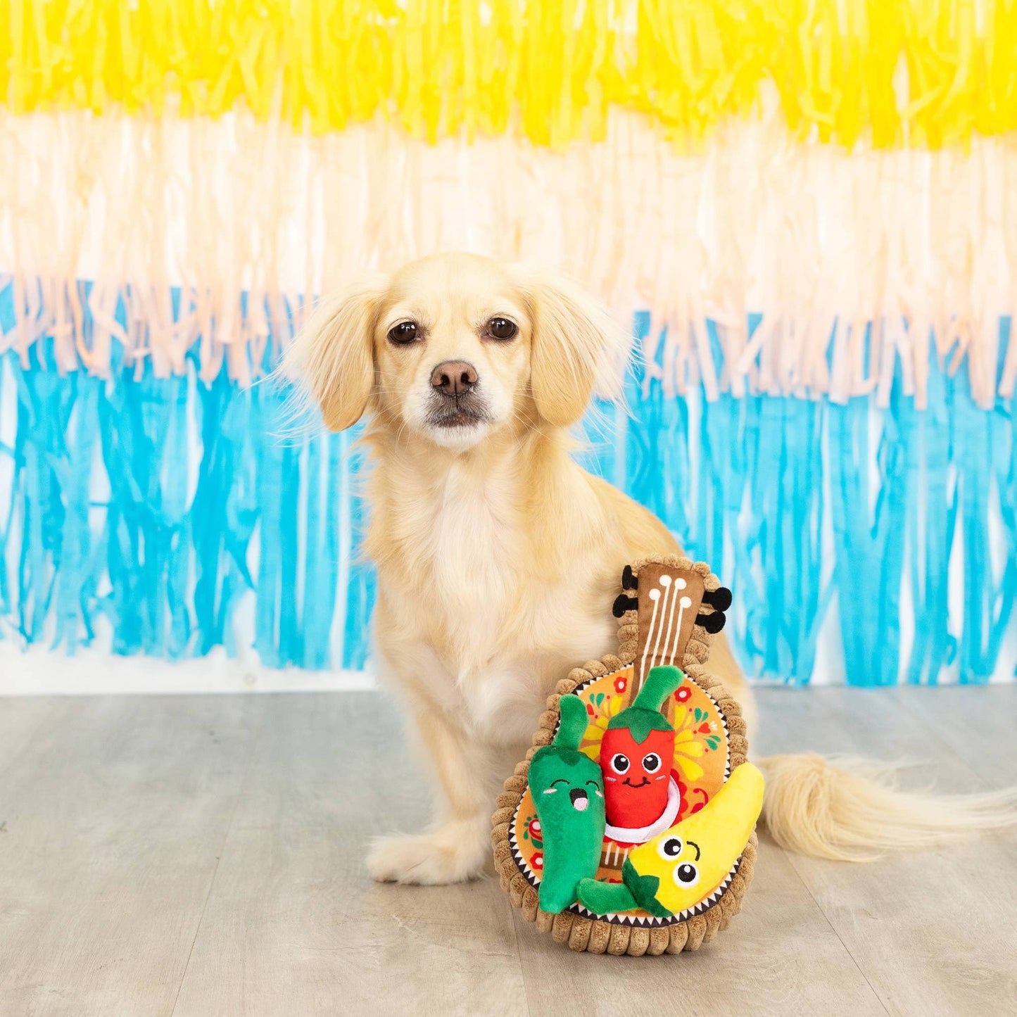 Fringe - Fiesta - Hundespielzeug-Set