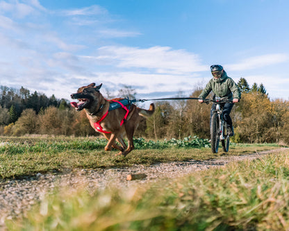 Non-stop dogwear - Freemotion harness 5.0