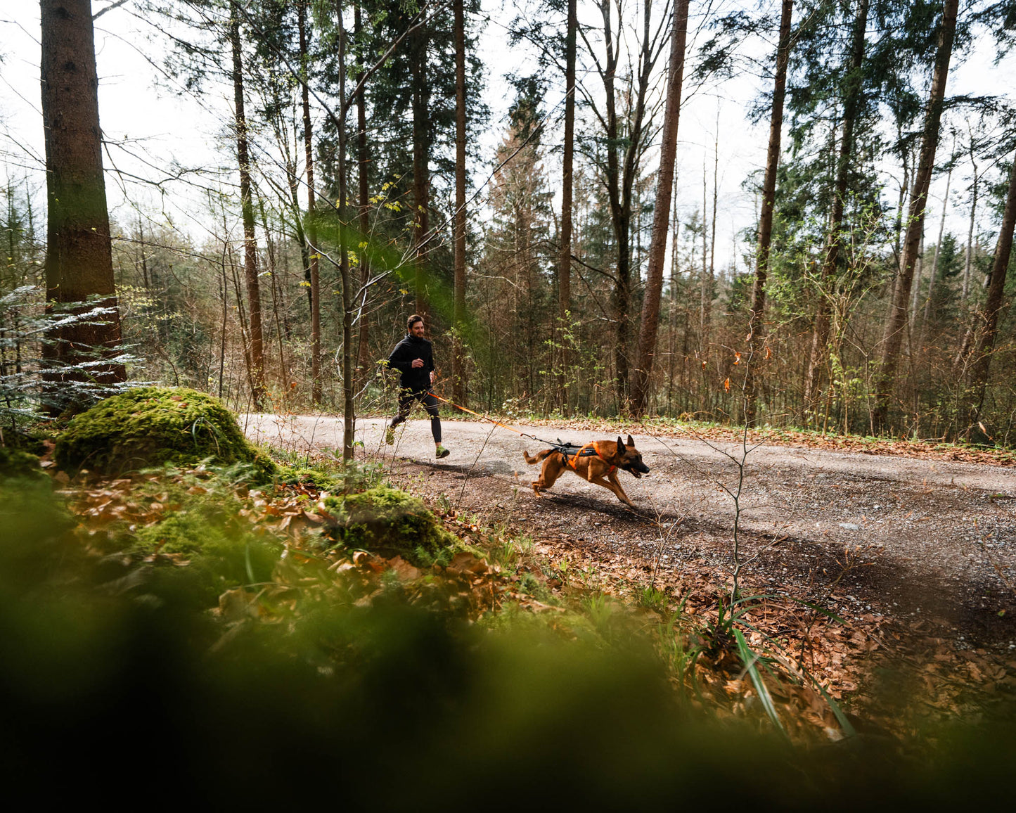 Non-stop dogwear - Freemotion harness 5.0