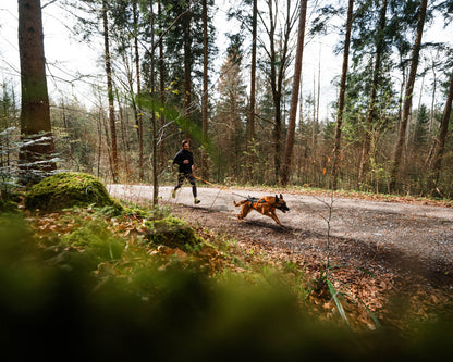 Non-stop dogwear - Freemotion harness 5.0