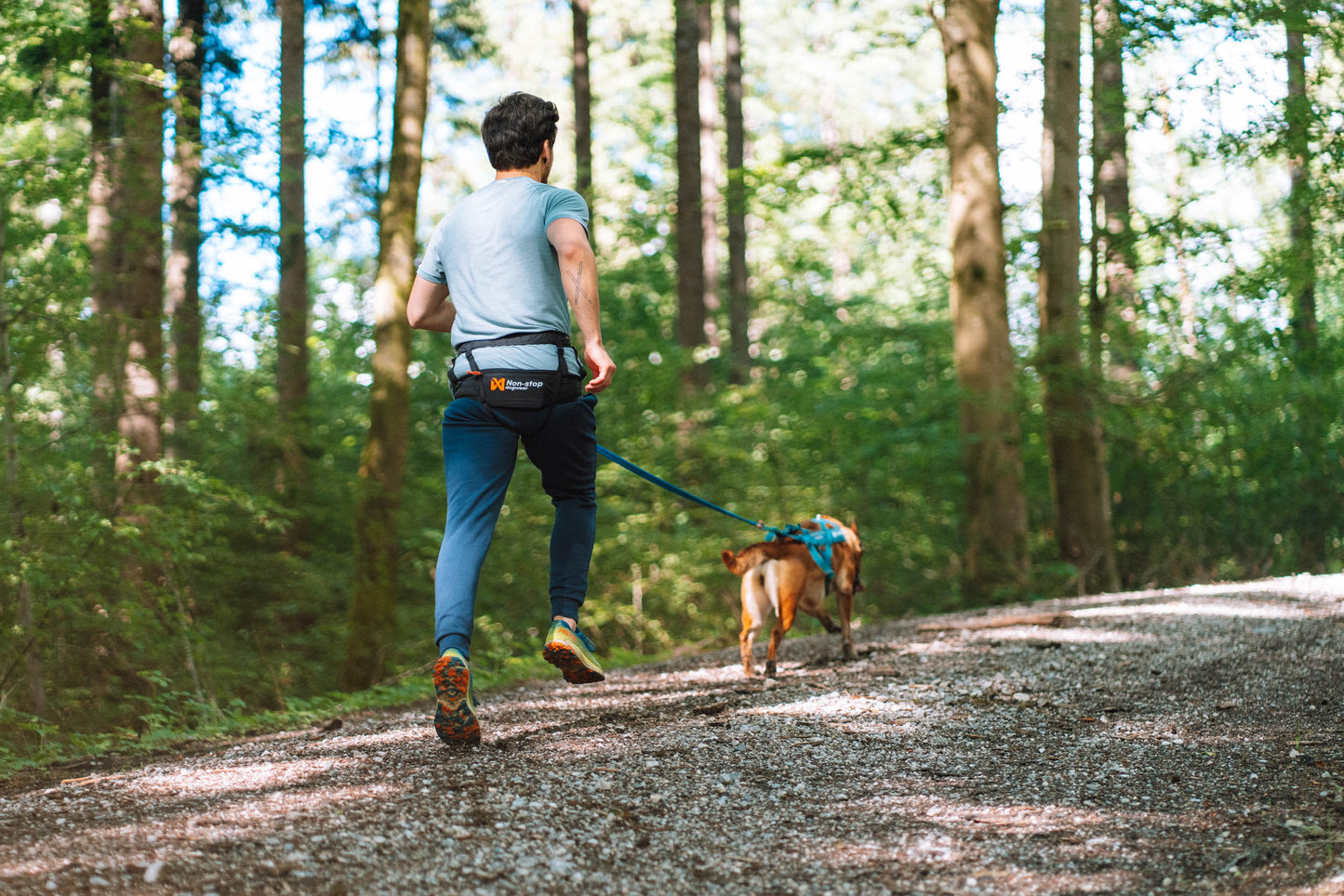 Non-stop dogwear - CaniX Belt 2.0