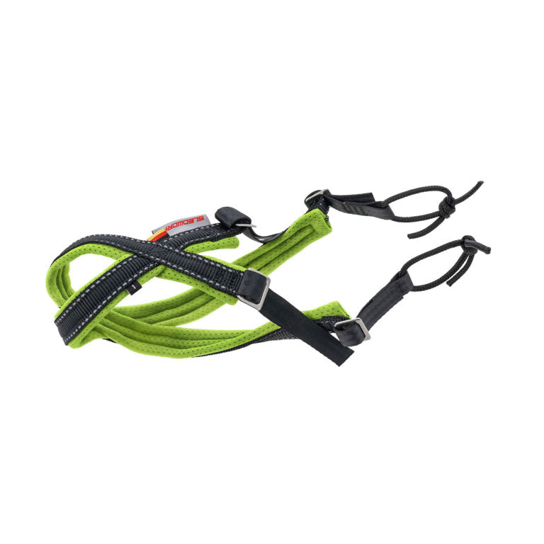 Sledwork - Speedy Gonharness