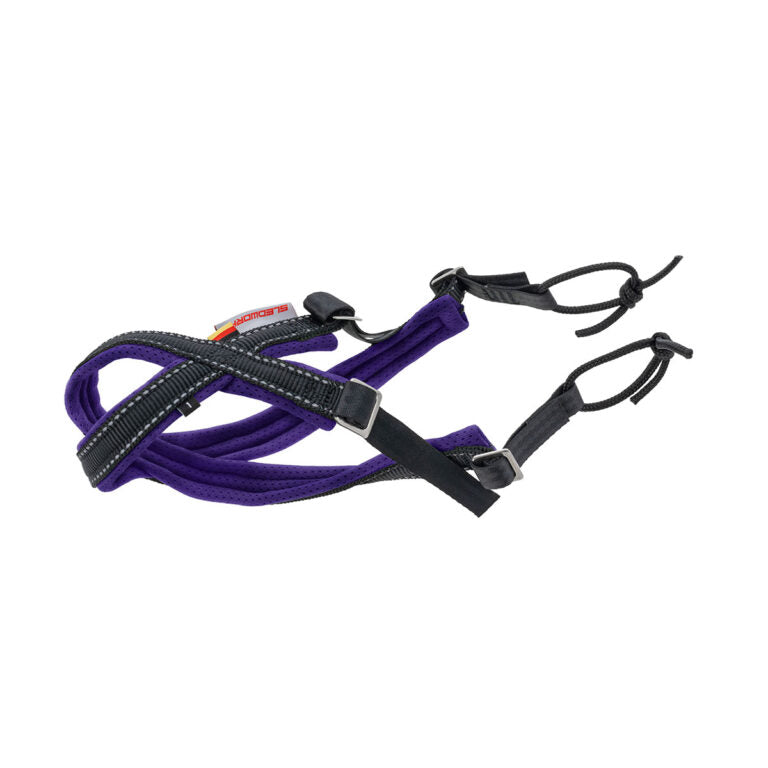 Sledwork - Speedy Gonharness