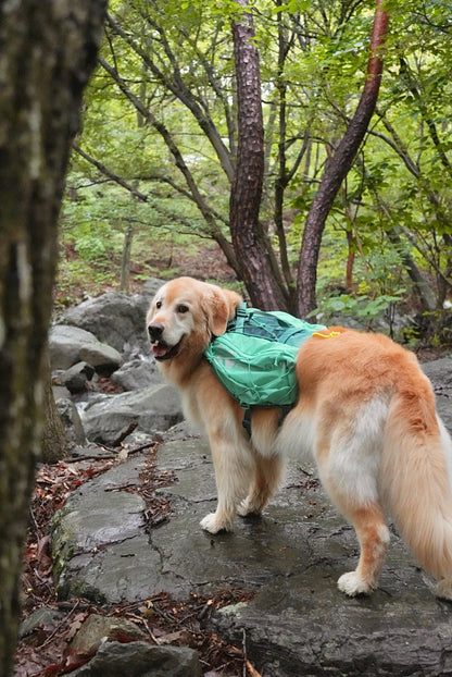 Non-stop dogwear - Dog Backpack Trail Light