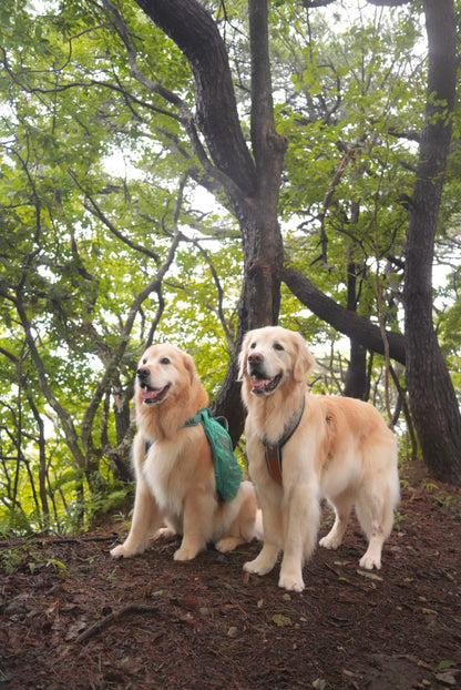 Non-stop dogwear - Dog Backpack Trail Light