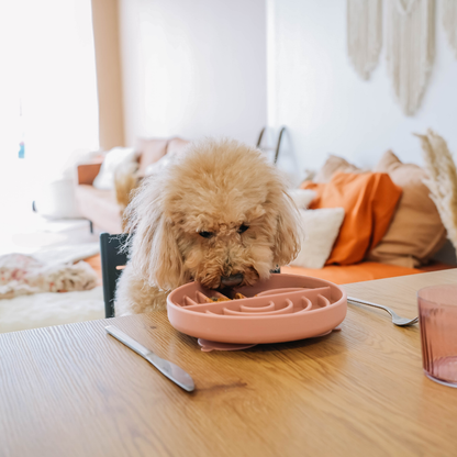 Schleckmatte - Dreamy – Altrosa
