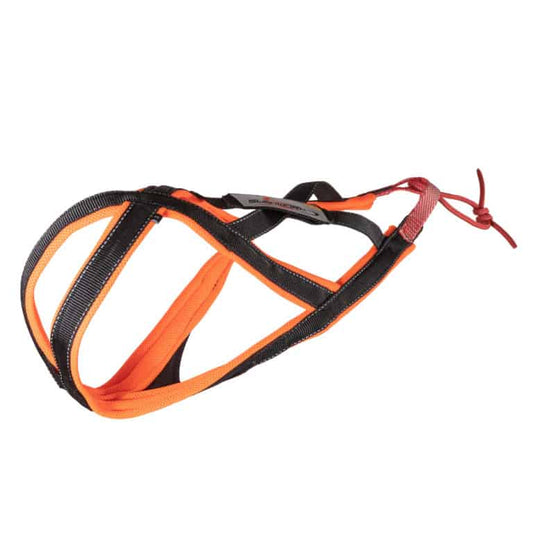 Sledwork - Xback Active G2