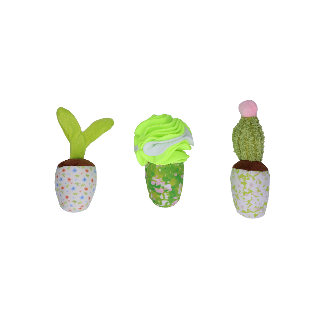 Garden Paws - Kakteen Schnüffelbox