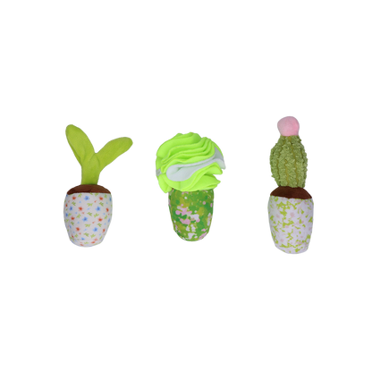 Garden Paws - Kakteen Schnüffelbox
