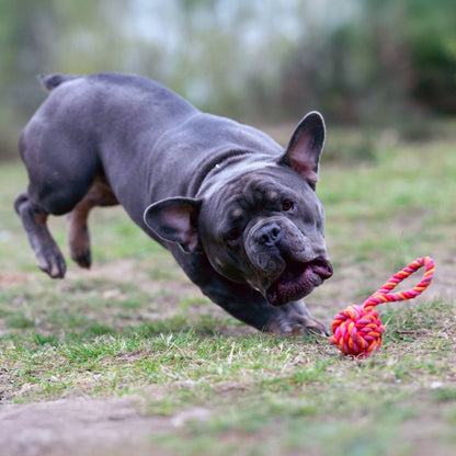 LABONI Cotton Toy – MINI SLING BALL