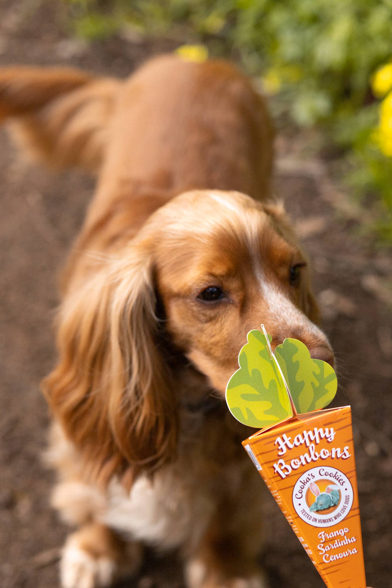 Happy Bonbons - Knusprige Leckerlis mit Pute & Sardinen für Hunde
