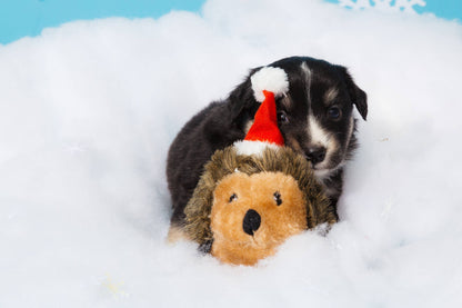 ZippyPaws Feiertags-Igel - Weihnachts-Hundespielzeug