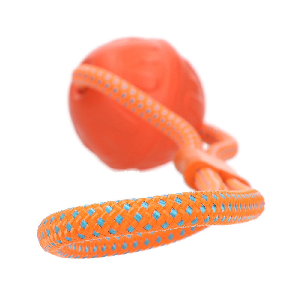 Dog Comets - Vortex Loop Orange