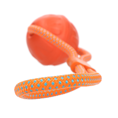 Dog Comets - Vortex Loop Orange