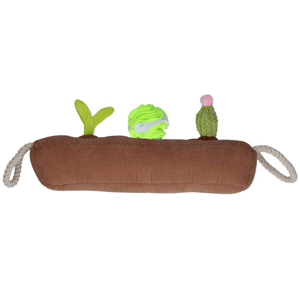 Garden Paws - Kakteen Schnüffelbox