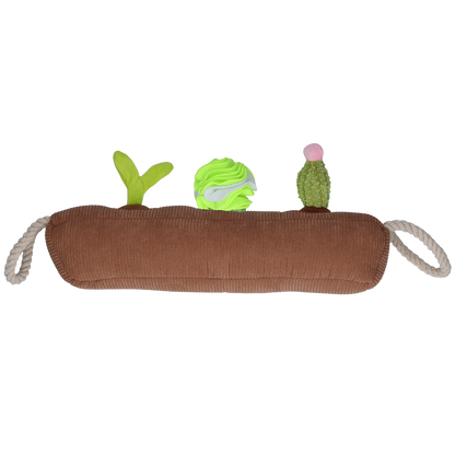 Garden Paws - Kakteen Schnüffelbox