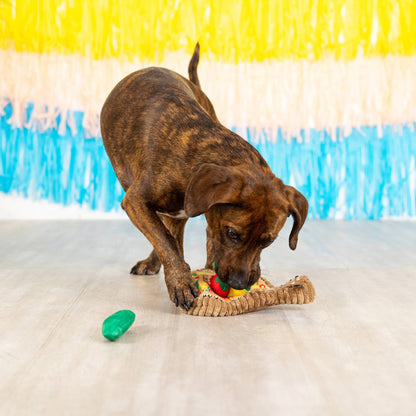 Fringe - Fiesta - Hundespielzeug-Set