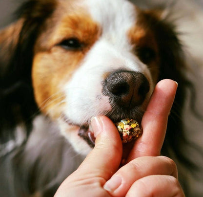 Happy Bonbons - Knusprige Leckerlis mit Pute & Sardinen für Hunde