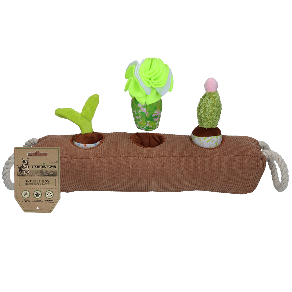 Garden Paws - Kakteen Schnüffelbox