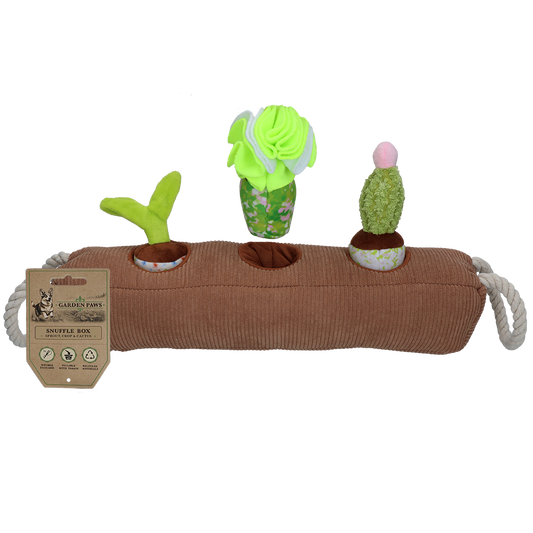 Garden Paws - Cactus Snuffle Box