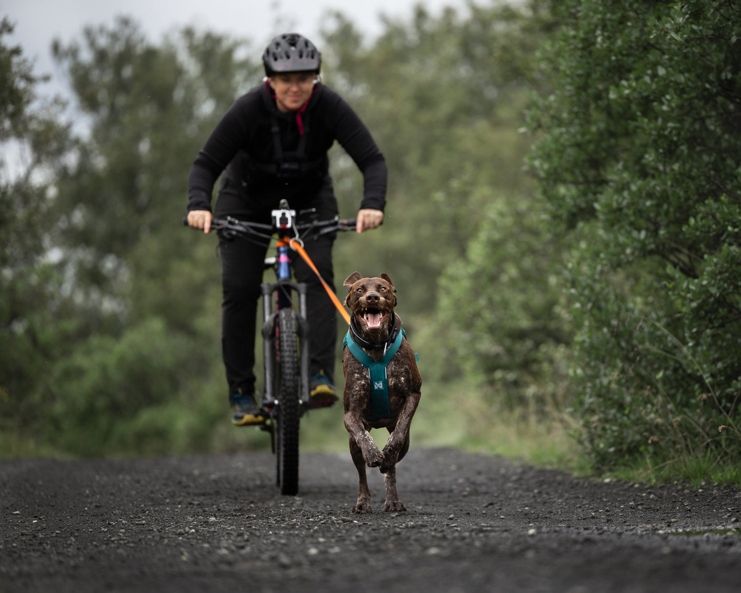 Non-stop dogwear - Freemotion harness 5.0