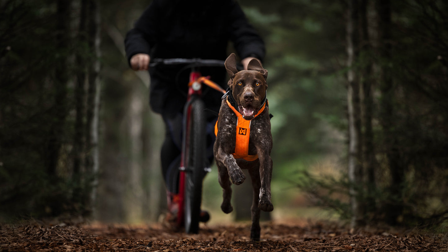 Non-stop dogwear - Freemotion harness 5.0
