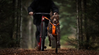 Non-stop dogwear - Freemotion harness 5.0