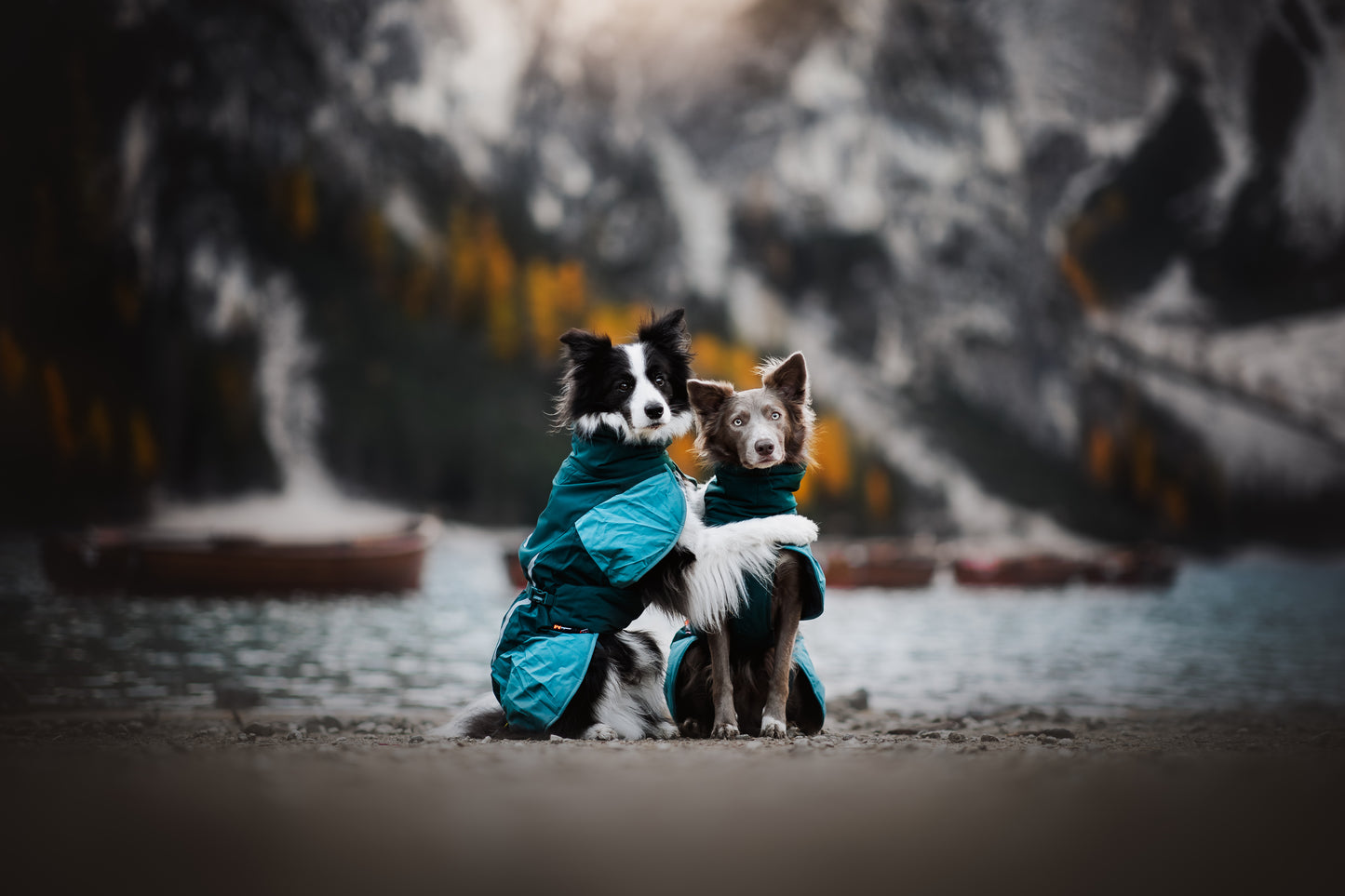Non-stop dogwear - Glacier Dog Jacket 3.0