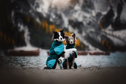 Non-stop dogwear - Glacier Dog Jacket 3.0