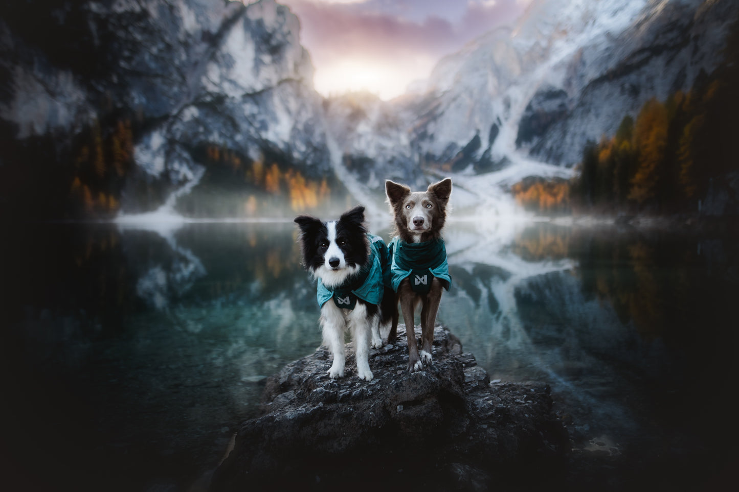Non-stop dogwear - Glacier Dog Jacket 3.0
