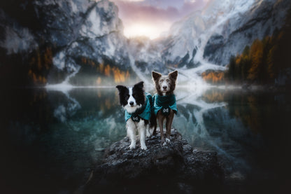 Non-stop dogwear - Glacier Dog Jacket 3.0