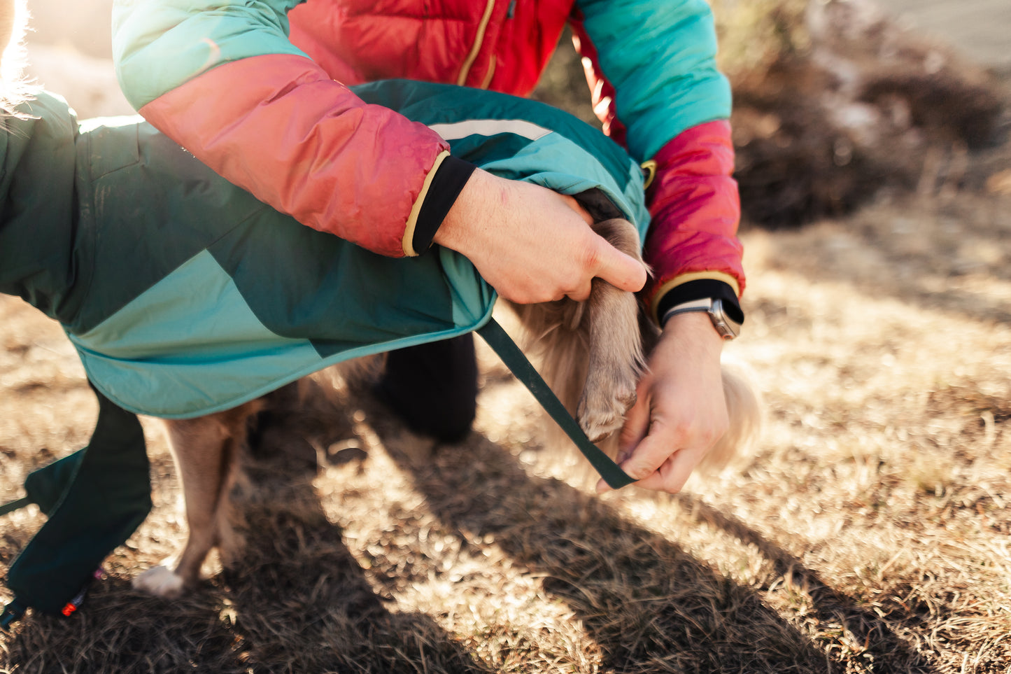 Non-stop dogwear - Glacier Dog Jacket 3.0