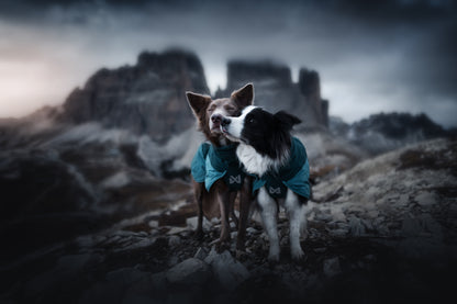Non-stop dogwear - Glacier Dog Jacket 3.0