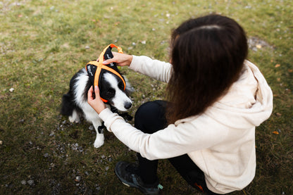 Non-stop dogwear - Rush harness