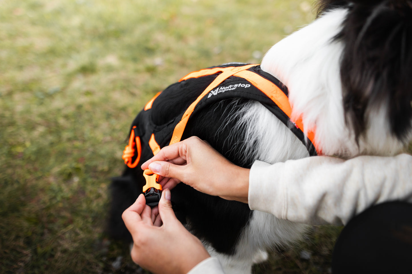 Non-stop dogwear - Rush harness
