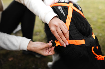 Non-stop dogwear - Rush harness