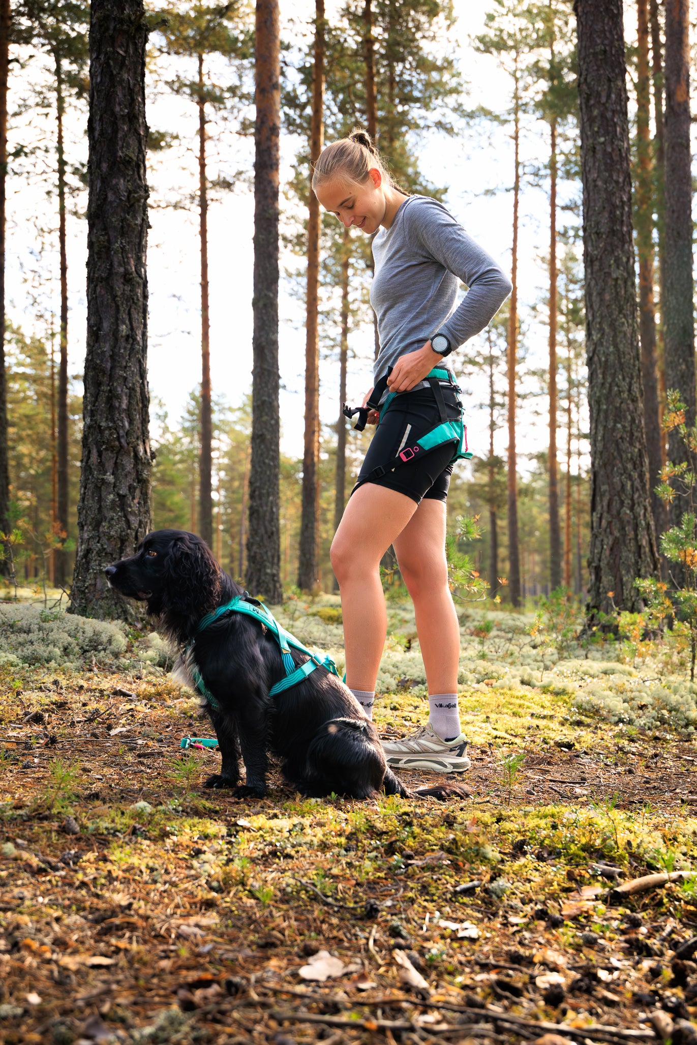 Non-stop dogwear - CaniX Belt 2.0
