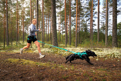 Non-stop dogwear - CaniX Belt 2.0