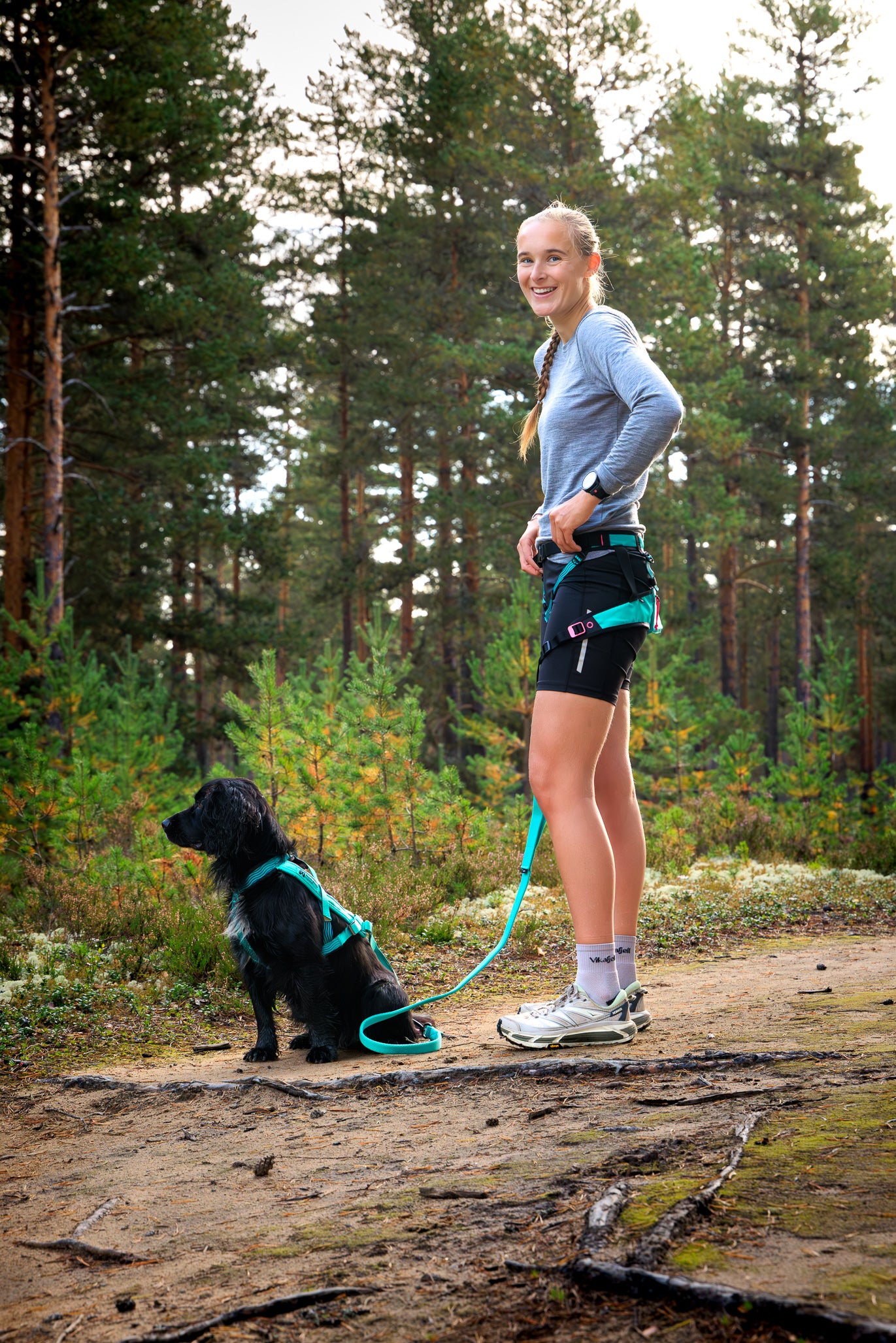 Non-stop dogwear - CaniX Belt 2.0