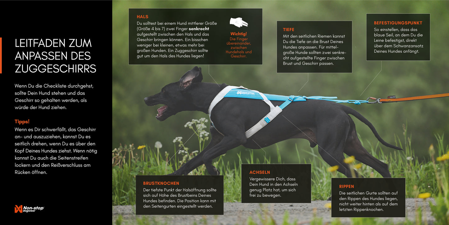 Non-stop dogwear - Freemotion harness 5.0