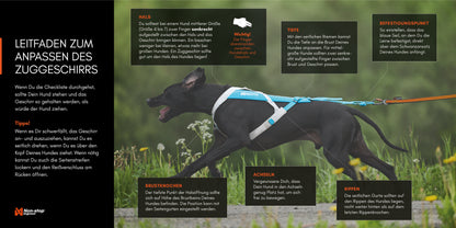 Non-stop dogwear - Freemotion harness 5.0